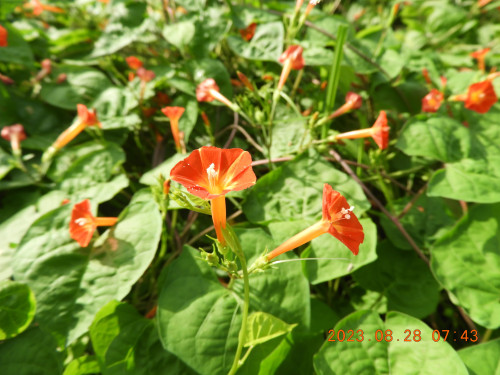 DSCN5499.JPG