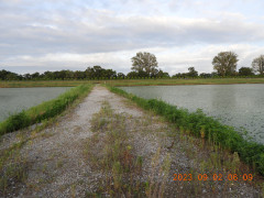 DSCN5528.JPG