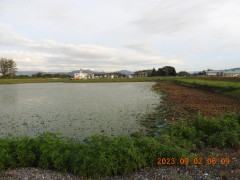 DSCN5529.JPG