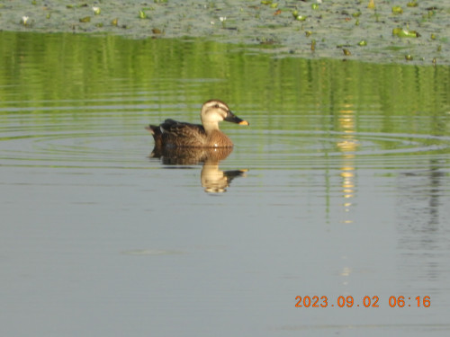 DSCN5533.JPG