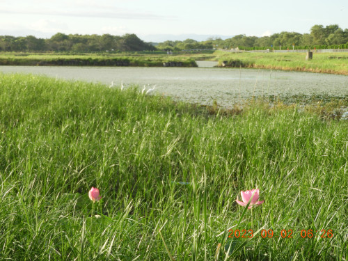 DSCN5540.JPG