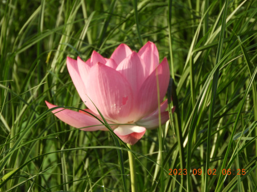 DSCN5539.JPG