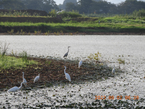 DSCN5544.JPG