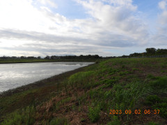 DSCN5547.JPG