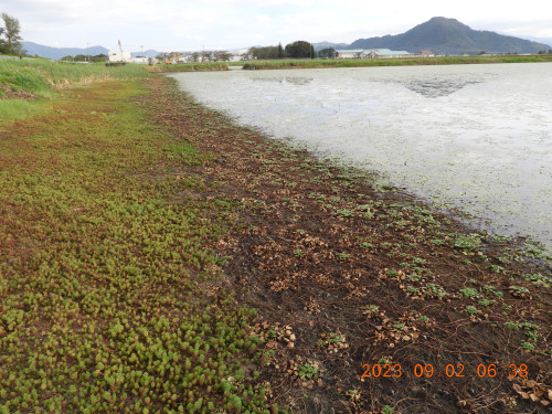 DSCN5548.JPG