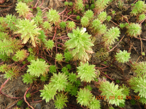 DSCN5551.JPG