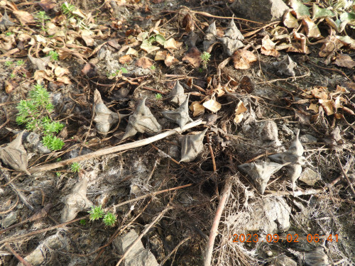 DSCN5554.JPG