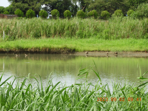 DSCN5556.JPG