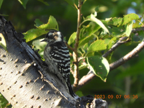 DSCN5594.JPG