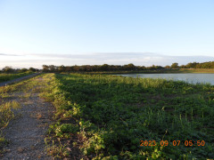 DSCN5568.JPG