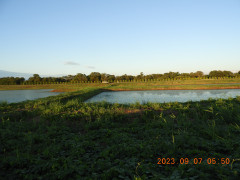 DSCN5569.JPG