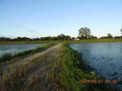 DSCN5579.JPG