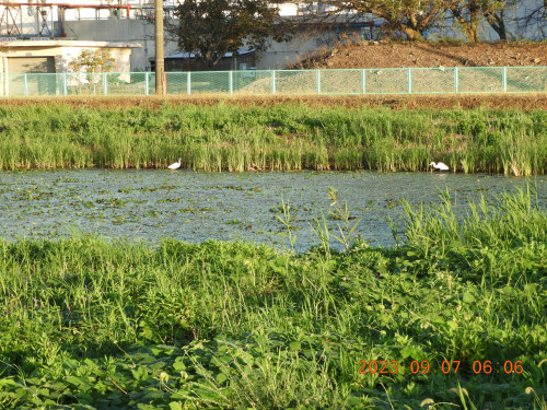 DSCN5585.JPG