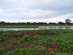 DSCN5615.JPG