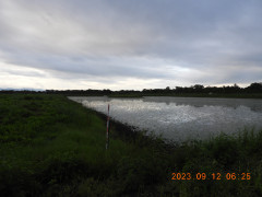 DSCN5620.JPG