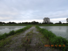 DSCN5621.JPG