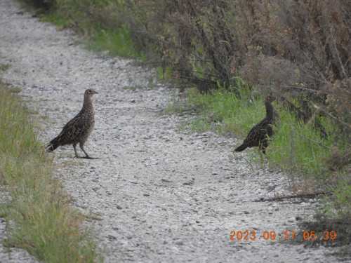 DSCN5649.JPG