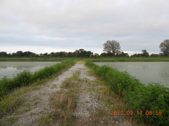 DSCN5658.JPG