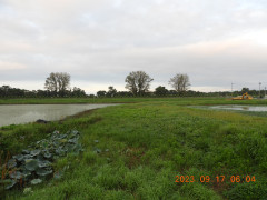 DSCN5661.JPG