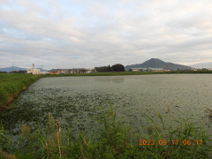 DSCN5663.JPG