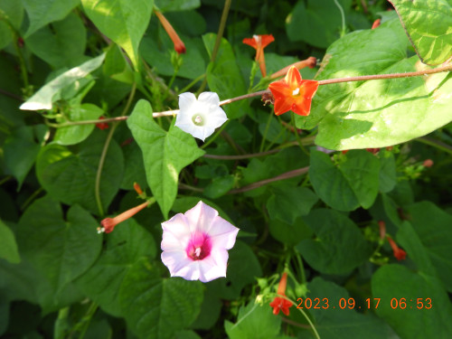 DSCN5680.JPG