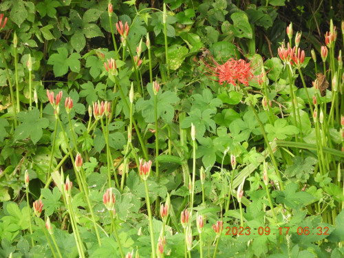 DSCN5672.JPG