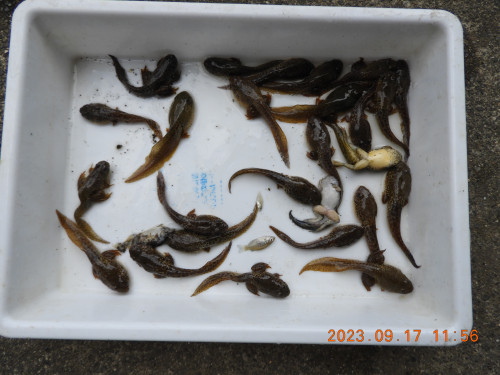DSCN5689.JPG