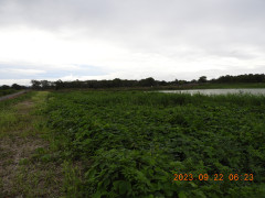 DSCN5709.JPG