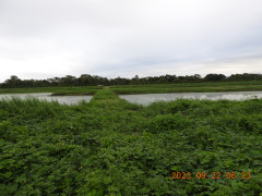 DSCN5710.JPG