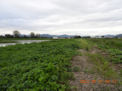 DSCN5711.JPG