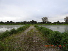 DSCN5716.JPG