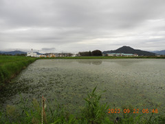 DSCN5726.JPG