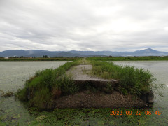 DSCN5727.JPG