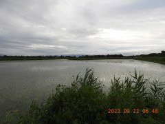 DSCN5728.JPG