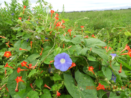 DSCN5732.JPG