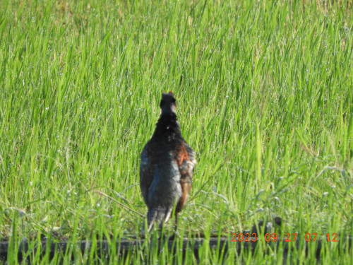 DSCN5743.JPG