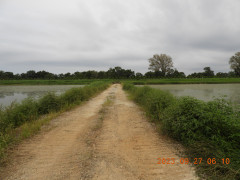 DSCN5771.JPG