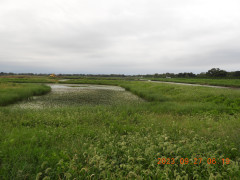 DSCN5774.JPG