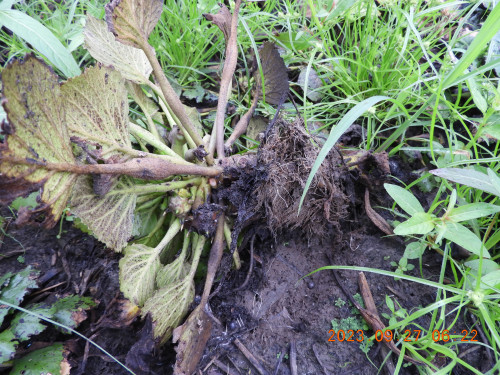 DSCN5777.JPG