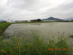 DSCN5778.JPG