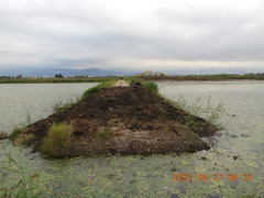 DSCN5779.JPG