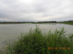 DSCN5780.JPG