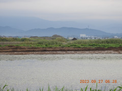 DSCN5782.JPG