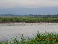 DSCN5783.JPG