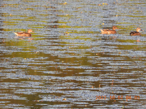 DSCN5862.JPG