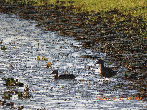DSCN5878.JPG