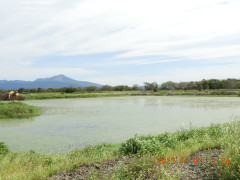 DSCN5884.JPG