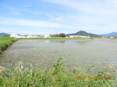 DSCN5887.JPG