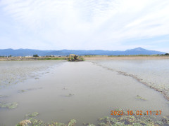 DSCN5888.JPG