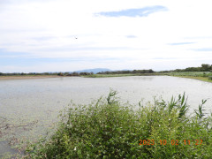 DSCN5889.JPG